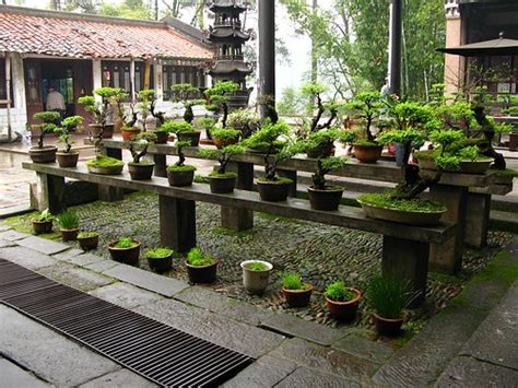 O Templo Yongle, Uma Joia Arquitetônica e Centro Espiritual em Langfang!