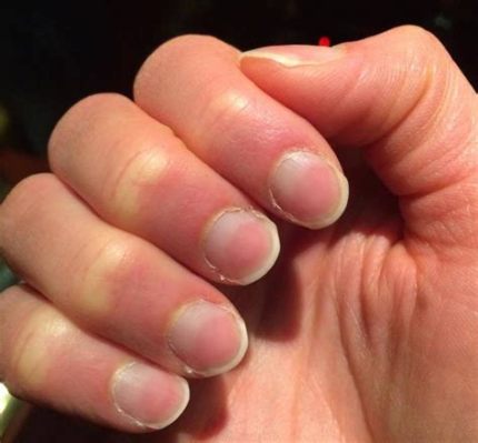 Can I Paint My 2-Year-Old's Nails? And Why Do Cats Always Land on Their Feet?