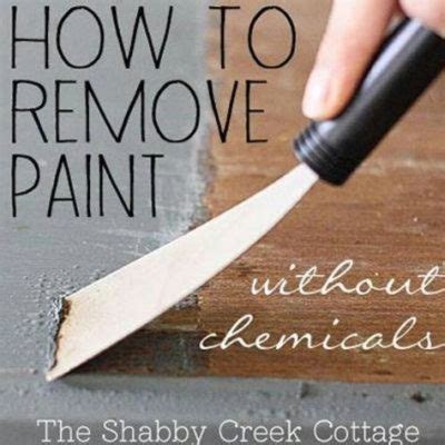 How to Remove Paint from Brick Wall: A Symphony of Chaos and Order