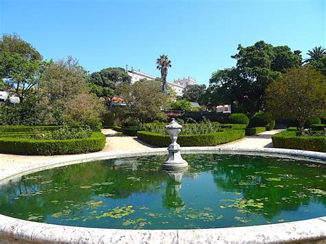 Jardim Botânico de Shiyan: Um Óasis de Tranquilidade e Beleza Natural no Coração da Cidade!